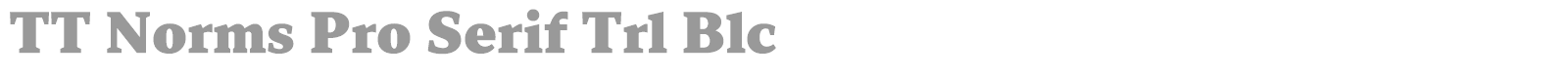 TT Norms Pro Serif font preview